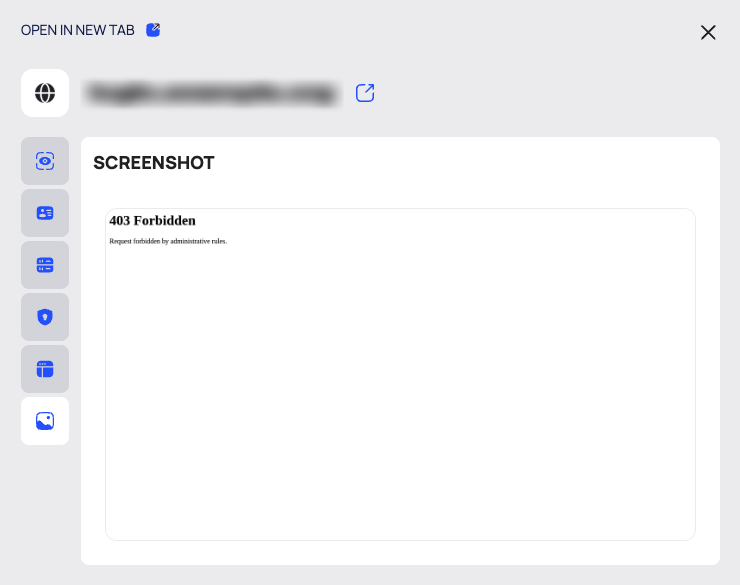 The SCREENSHOT tab of a fraudulent domain's drawer.