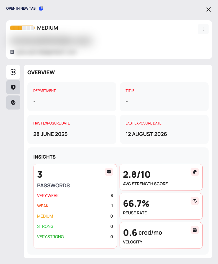 The employee drawer on the OVERVIEW tab, with the e-mail address and the domain blurred.